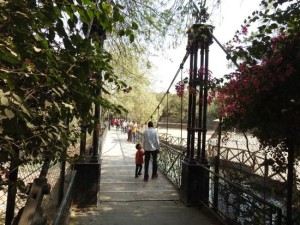 hanging-bridge-at-jaipur