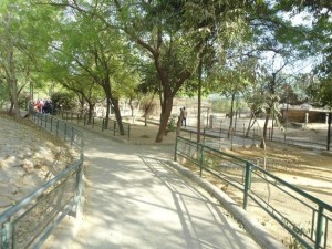 jaipur zoo places (1)