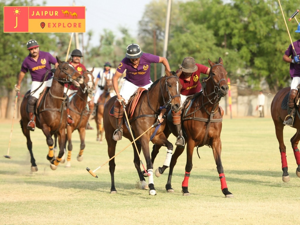Jaipur Polo League (2)