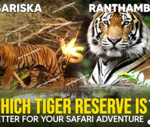 WhatsApp Image 2025 07 16 at 13.21.047