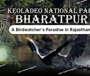 WhatsApp Image 2025 08 01 at 20.56.35