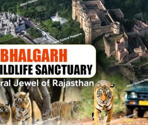 WhatsApp Image 2025 08 01 at 20.56.351