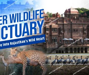 WhatsApp Image 2025 08 01 at 20.56.355