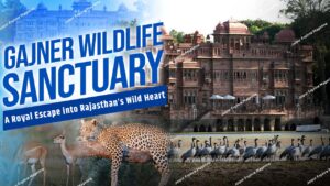 WhatsApp Image 2025 08 01 at 20.56.355