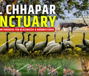 WhatsApp Image 2025 08 01 at 20.56.357