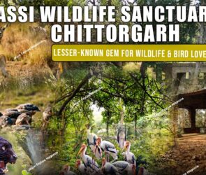 WhatsApp Image 2025 08 01 at 20.56.358