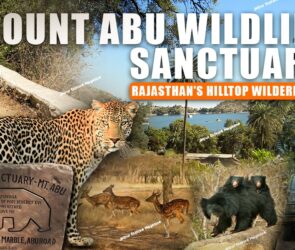 WhatsApp Image 2025 08 01 at 20.56.361