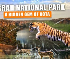 WhatsApp Image 2025 08 01 at 20.56.37