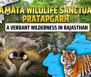 WhatsApp Image 2025 08 14 at 22.46.311