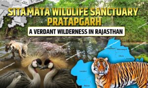 WhatsApp Image 2025 08 14 at 22.46.311