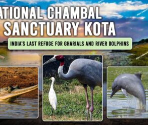 WhatsApp Image 2025 08 14 at 22.46.312