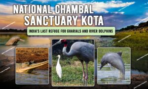 WhatsApp Image 2025 08 14 at 22.46.312