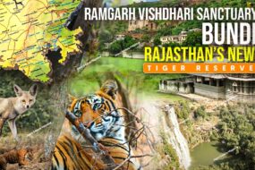 WhatsApp Image 2025 08 14 at 22.46.313