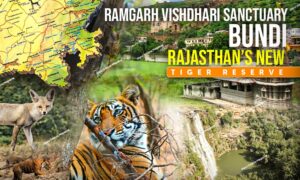 WhatsApp Image 2025 08 14 at 22.46.313