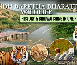 WhatsApp Image 2025 08 14 at 22.46.314