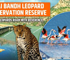 WhatsApp Image 2025 08 14 at 22.46.315