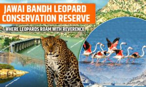 WhatsApp Image 2025 08 14 at 22.46.315