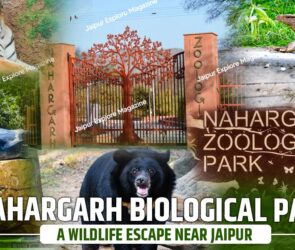 WhatsApp Image 2025 08 14 at 22.46.3114