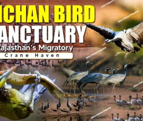 WhatsApp Image 2025 08 14 at 22.46.316