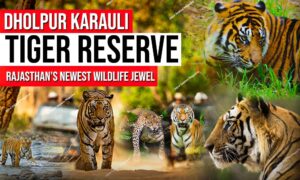 WhatsApp Image 2025 08 14 at 22.46.317