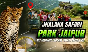 WhatsApp Image 2025 09 04 at 22.22.391