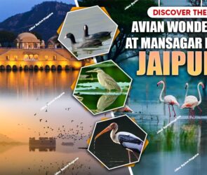 WhatsApp Image 2025 09 28 at 21.30.30 1