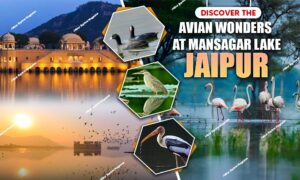 WhatsApp Image 2025 09 28 at 21.30.30 1