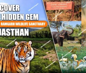 WhatsApp Image 2025 09 28 at 21.30.301