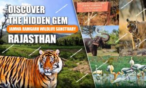 WhatsApp Image 2025 09 28 at 21.30.301