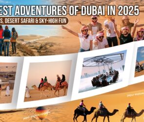 WhatsApp Image 2025 09 28 at 21.30.31