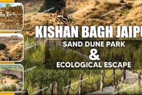 WhatsApp Image 2025 09 28 at 22.56.14