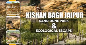 WhatsApp Image 2025 09 28 at 22.56.14