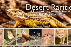 WhatsApp Image 2025 10 07 at 11.54.372