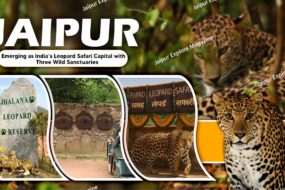 WhatsApp Image 2025 10 07 at 11.54.38