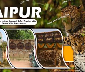 WhatsApp Image 2025 10 07 at 11.54.38