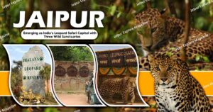 WhatsApp Image 2025 10 07 at 11.54.38