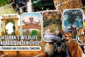 WhatsApp Image 2025 10 09 at 15.26.22