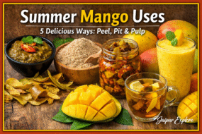 Delicious summer mango recipes