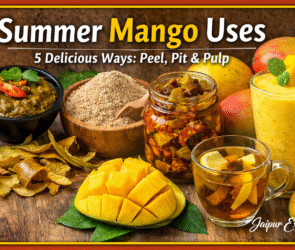 Delicious summer mango recipes