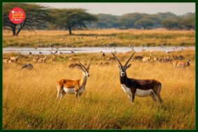 WhatsApp Image 2026 04 04 at 12.24.11 PM