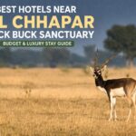 WhatsApp Image 2026 04 06 at 9.16.00 AM