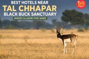 WhatsApp Image 2026 04 06 at 9.16.00 AM