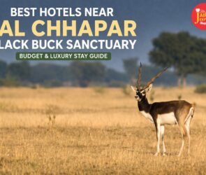 WhatsApp Image 2026 04 06 at 9.16.00 AM