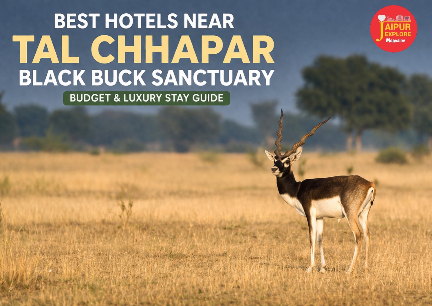 WhatsApp Image 2026 04 06 at 9.16.00 AM