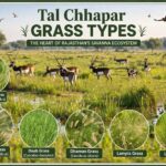 WhatsApp Image 2026 04 06 at 9.16.01 AM