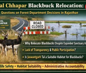 WhatsApp Image 2026 04 07 at 6.46.55 PM