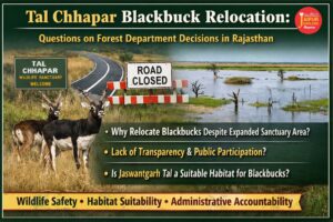 Tal Chhapar Blackbuck Relocation: Questions on Forest Department Decisions in Rajasthan 1 WhatsApp Image 2026 04 07 at 6.46.55 PM