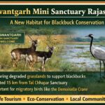 WhatsApp Image 2026 04 07 at 7.01.32 PM