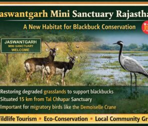 WhatsApp Image 2026 04 07 at 7.01.32 PM