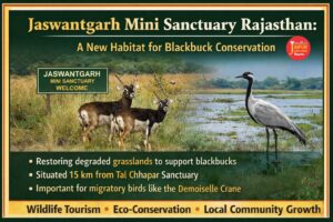 Jaswantgarh Mini Sanctuary Rajasthan: A New Habitat for Blackbuck Conservation 1 WhatsApp Image 2026 04 07 at 7.01.32 PM